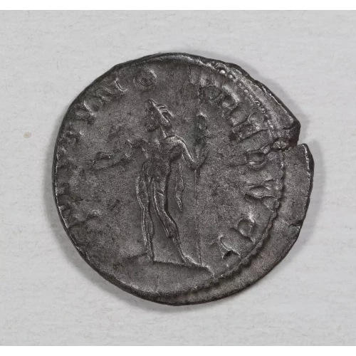 Ancient Roman Coin (2)