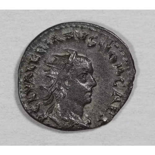 Ancient Roman Coin