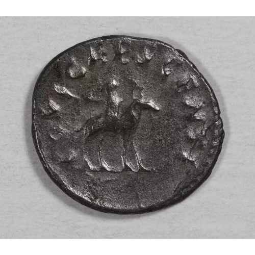 Ancient Roman Coin (2)