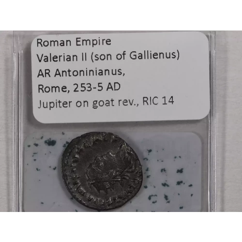 Ancient Roman Coin (4)