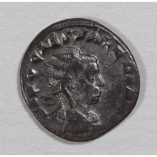 Ancient Roman Coin