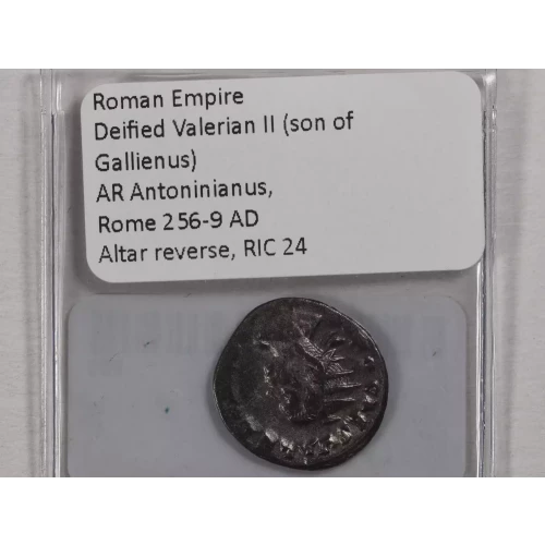 Ancient Roman Coin (4)