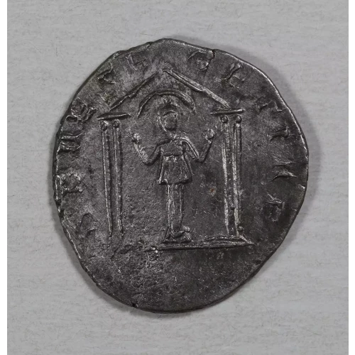 Ancient Roman Coin (2)