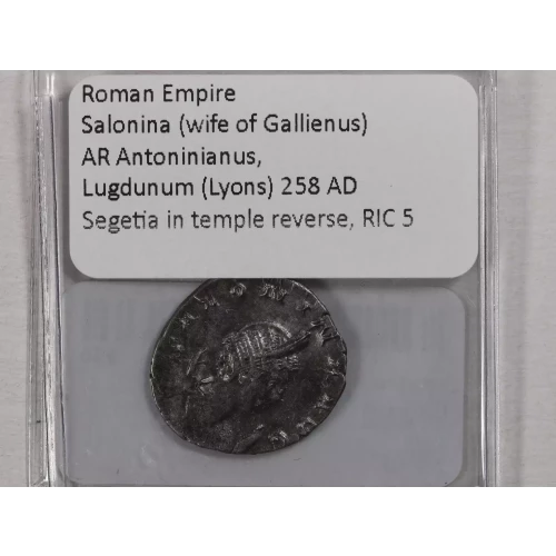 Ancient Roman Coin (3)