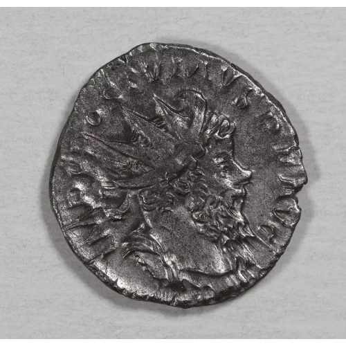 Ancient Roman Coin (2)