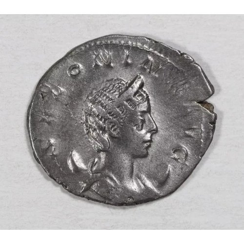 Ancient Roman Coin (2)