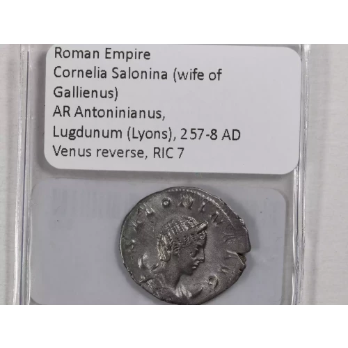 Ancient Roman Coin (4)