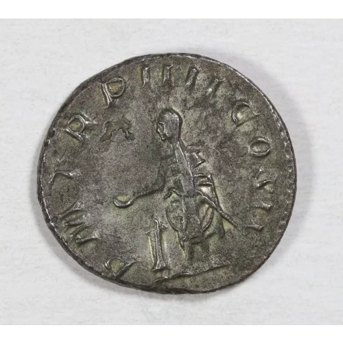 Ancient Roman Coin (2)