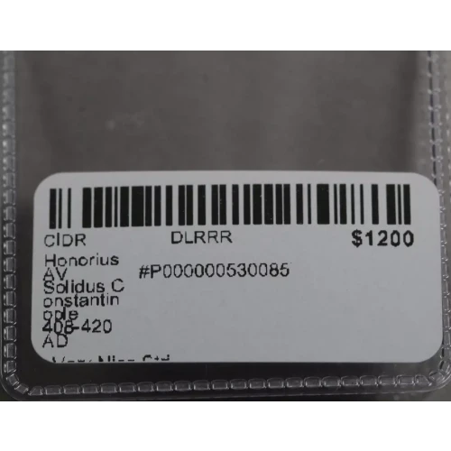 Ancient Roman Coin (3)