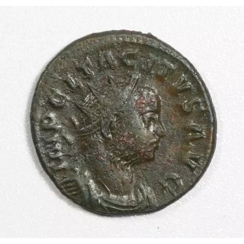 Ancient Roman Coin