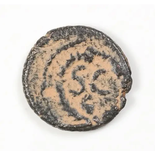 Ancient Roman Coin (2)