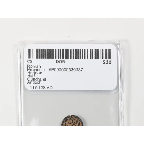 Ancient Roman Coin (3)