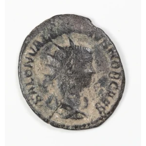Ancient Roman Coin