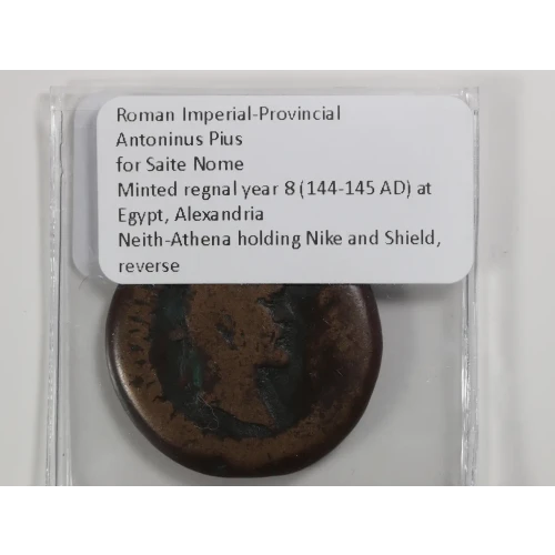 Ancient Roman Coin (4)