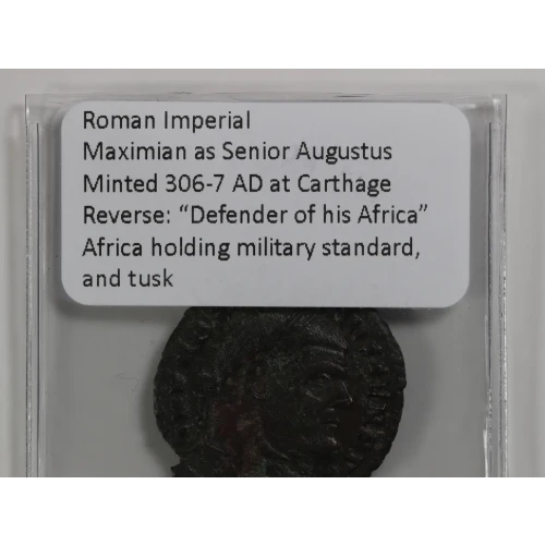 Ancient Roman Coin (4)