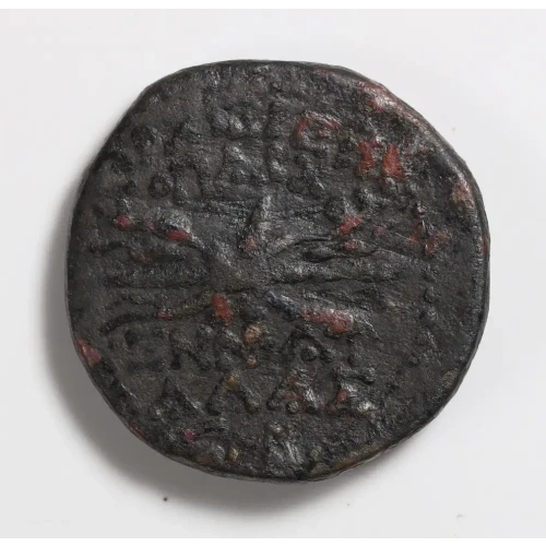 Ancient Roman Coin (2)