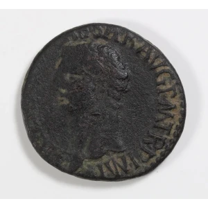 Ancient Roman Coin (2)