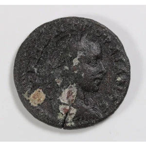 Ancient Roman Coin (2)