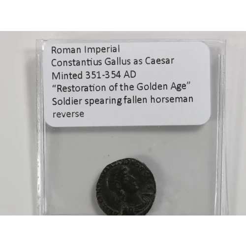 Ancient Roman Coin (4)