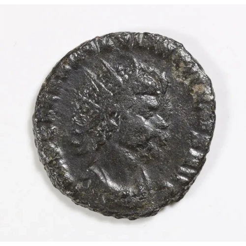 Ancient Roman Coin (2)