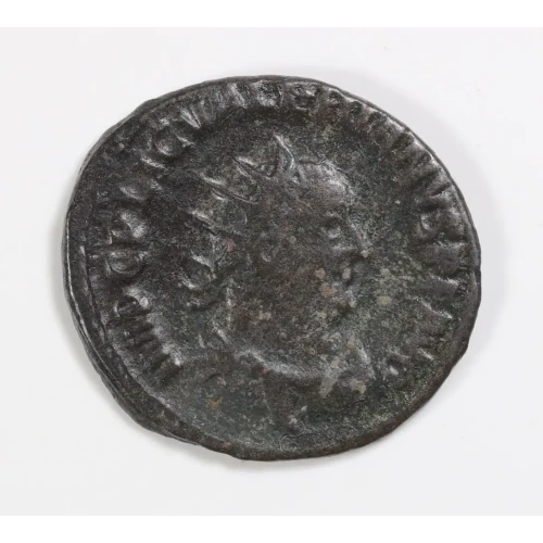 Ancient Roman Coin (2)