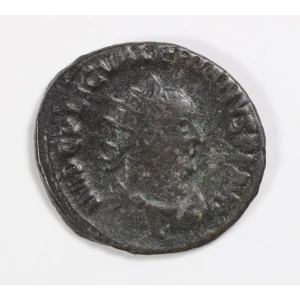 Ancient Roman Coin (2)