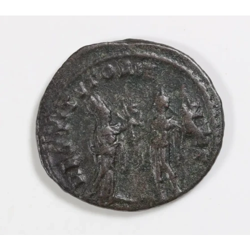 Ancient Roman Coin