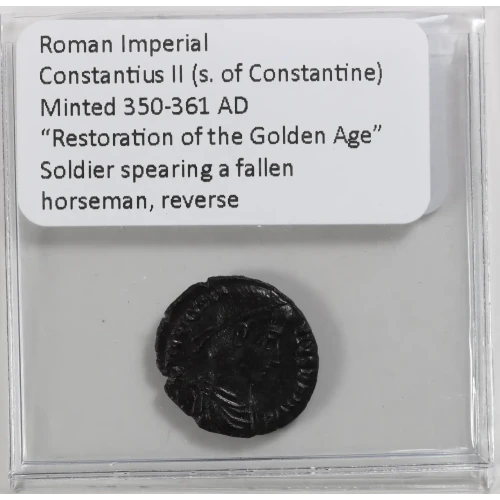 Ancient Roman Coin (3)