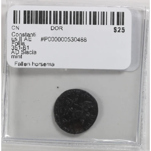 Ancient Roman Coin (4)