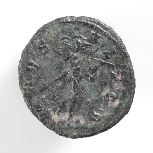 Ancient Roman Coin (2)