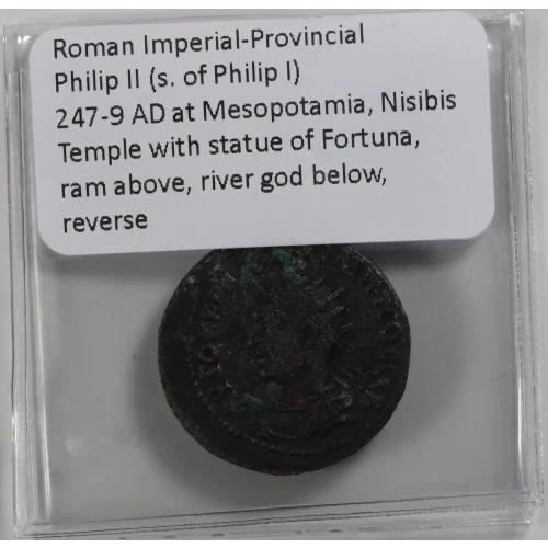 Ancient Roman Coin (4)