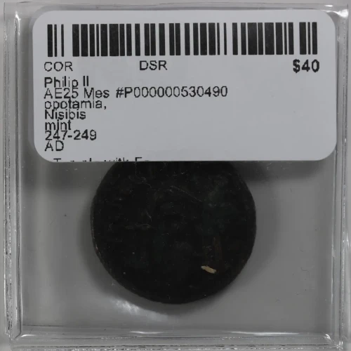 Ancient Roman Coin (3)