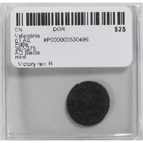 Ancient Roman Coin (4)