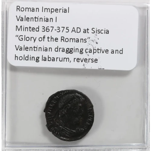 Ancient Roman Coin (4)