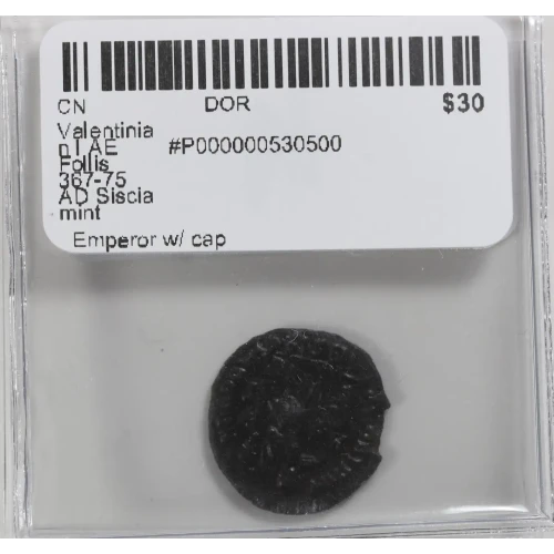 Ancient Roman Coin (3)