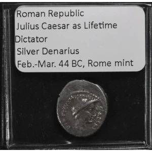 Ancient Roman Coin (4)