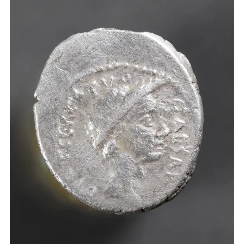 Ancient Roman Coin (2)