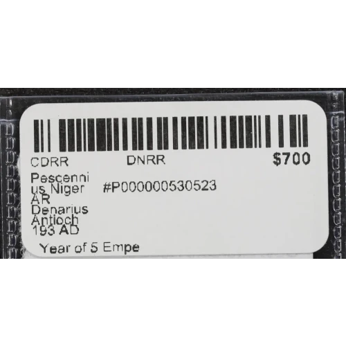 Ancient Roman Coin (3)
