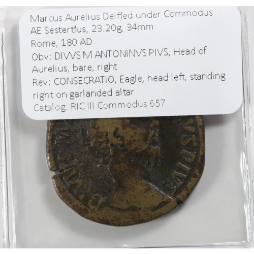 Ancient Roman Coin (3)