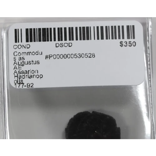 Ancient Roman Coin (4)