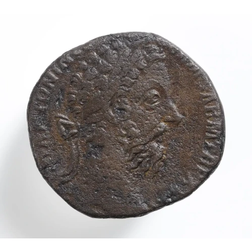 Ancient Roman Coin (3)