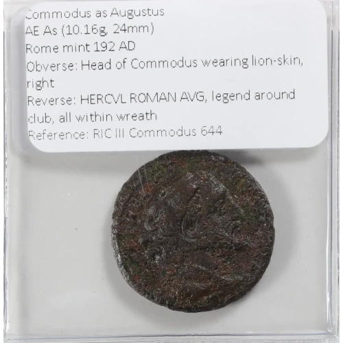 Ancient Roman Coin (4)