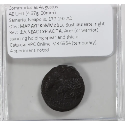 Ancient Roman Coin (3)