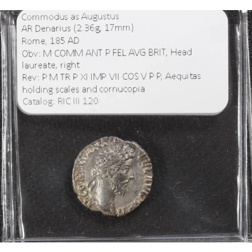 Ancient Roman Coin (4)