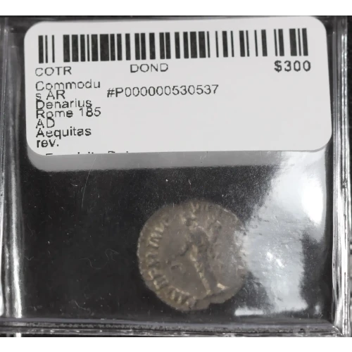 Ancient Roman Coin (3)