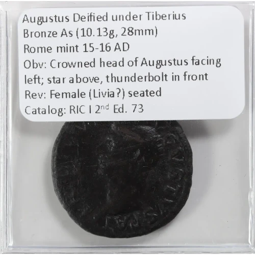 Ancient Roman Coin (4)