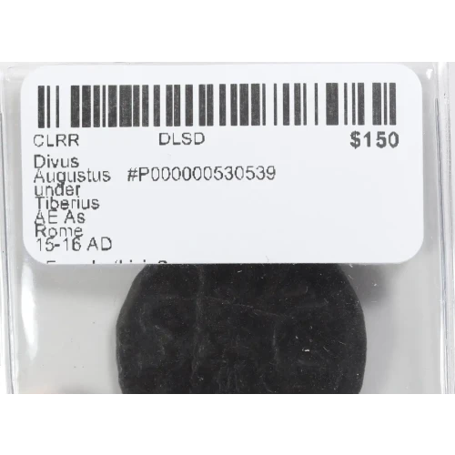 Ancient Roman Coin (3)