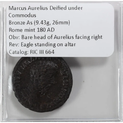 Ancient Roman Coin (4)