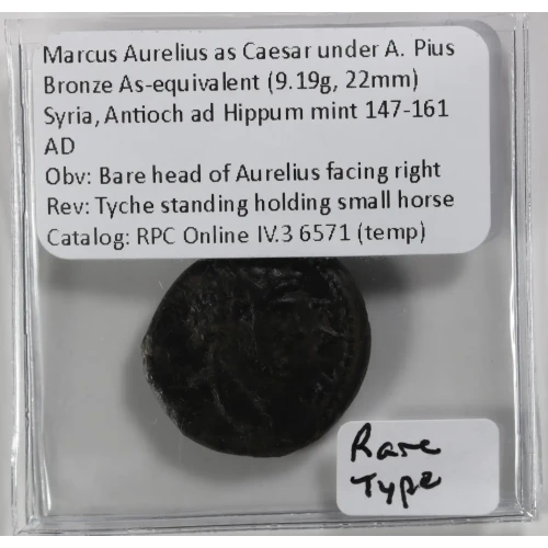 Ancient Roman Coin (4)