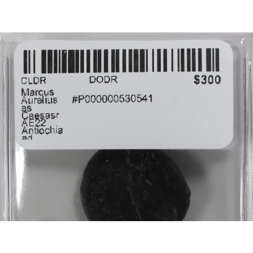 Ancient Roman Coin (3)